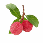 Lychee Categories Image in Foljhuri